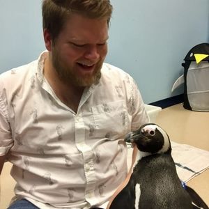 Meet your Posher, Casey